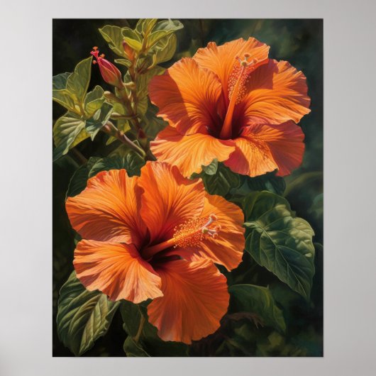 Orange Hibiskus Blume Art Print Poster (Vorne)