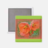 Orange Hibiskus Blume Magnet (Vorderseite/Rückseite)