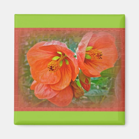 Orange Hibiskus Blume Magnet (Vorne)