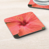 Orange Hibiskus Blume Makro Kork Untersetzer (Linke Seite)