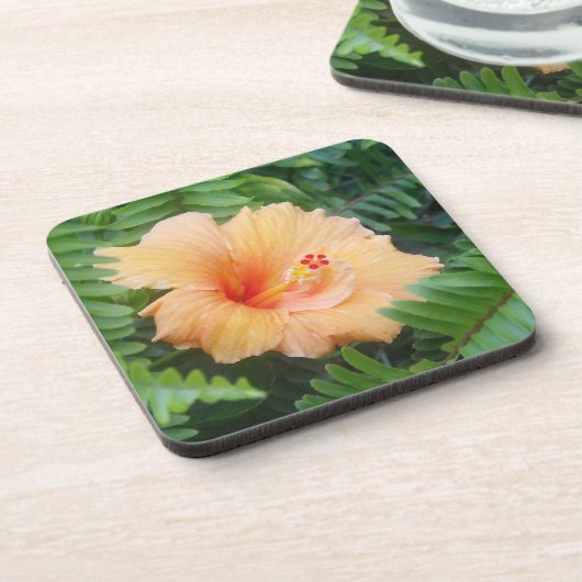 Orange Hibiskus-Blume mit Farnen Untersetzer (Linke Seite)