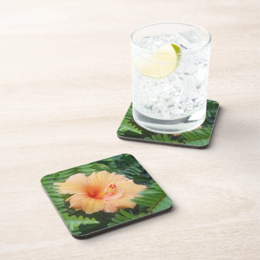 Orange Hibiskus-Blume mit Farnen Untersetzer (Rechte Seite)