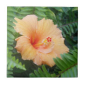 Orange Hibiskus Blume mit Ferns Fliese (Vorderseite)