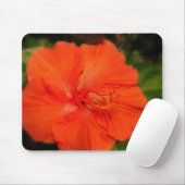 Orange Hibiskus Blume Mousepad (Mit Mouse)