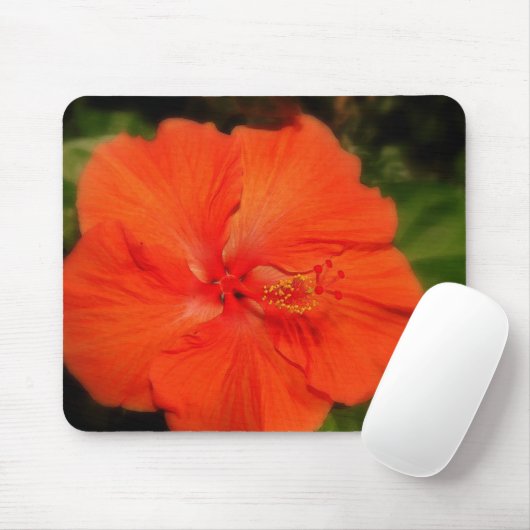 Orange Hibiskus Blume Mousepad (Mit Mouse)