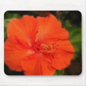 Orange Hibiskus Blume Mousepad (Vorne)
