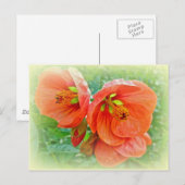 Orange Hibiskus Blume Postkarte (Vorne/Hinten)