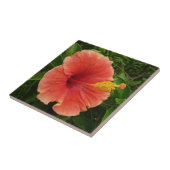 Orange Hibiskus Blume Tropenflora Fliese (Seite)