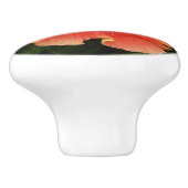 Orange Hibiskus Blume Tropenflora Keramikknauf (Seitenansicht)