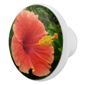 Orange Hibiskus Blume Tropenflora Keramikknauf (Rechts)