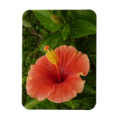 Orange Hibiskus Blume Tropenflora Magnet (Vertikal)