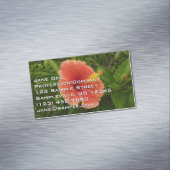 Orange Hibiskus Blume Tropenflora Magnetische Visitenkarte (Beispiel)