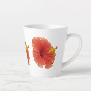 Orange Hibiskus Blume Tropenflora Milchtasse