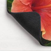 Orange Hibiskus Blume Tropenflora Mousepad (Ecke)