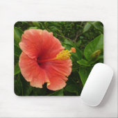Orange Hibiskus Blume Tropenflora Mousepad (Mit Mouse)