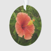 Orange Hibiskus Blume Tropenflora Ornament (Vorderseite)