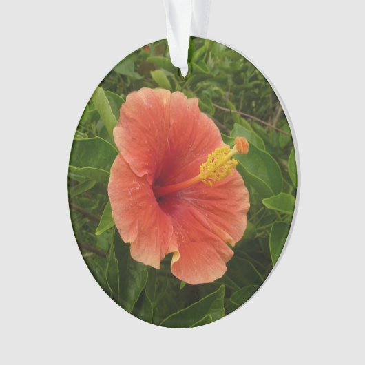 Orange Hibiskus Blume Tropenflora Ornament (Vorderseite)