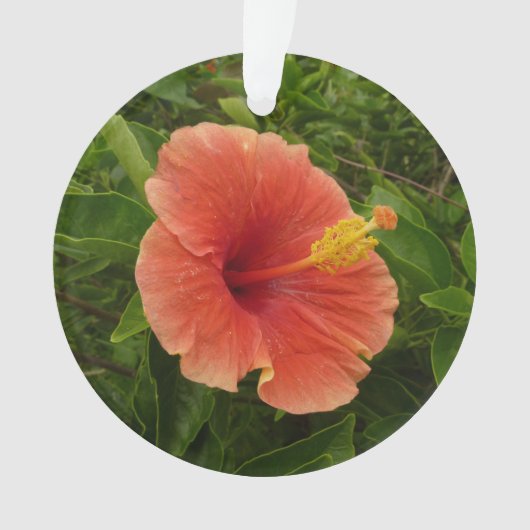 Orange Hibiskus Blume Tropenflora Ornament (Vorderseite)