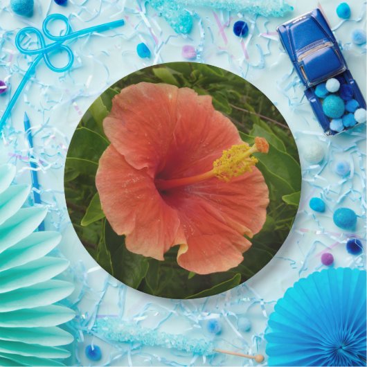 Orange Hibiskus Blume Tropenflora Pappteller (Party)