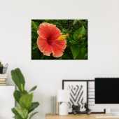 Orange Hibiskus Blume Tropenflora Poster (Heimbüro)