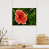 Orange Hibiskus Blume Tropenflora Poster (Küche)