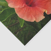 Orange Hibiskus Blume Tropenflora Seidenpapier (Ausschnitt)