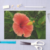 Orange Hibiskus Blume Tropenflora Seidenpapier (Handwerk)