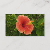 Orange Hibiskus Blume Tropenflora Visitenkarte (Rückseite)