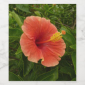 Orange Hibiskus Blume Tropenflora Weinetikett (Einzelnes Label)