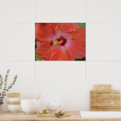 Orange Hibiskus Canvas Print Poster (Küche)