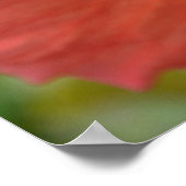 Orange Hibiskus Canvas Print Poster (Ecke)