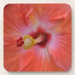 Orange Hibiskus Cork Untersetzer