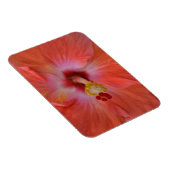 Orange Hibiskus Magnet (Rechte Seite)