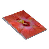 Orange-Hibiskus-Notebook Notizblock (Rechte Seite)