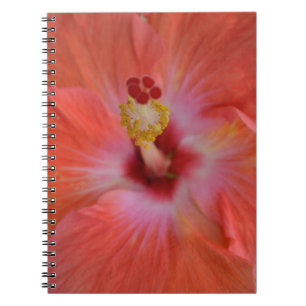 Orange-Hibiskus-Notebook Notizblock