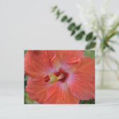 Orange Hibiskus Postcard Postkarte (Stehend Vorderseite)