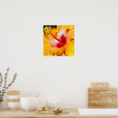 Orange Hibiskus Poster (Küche)