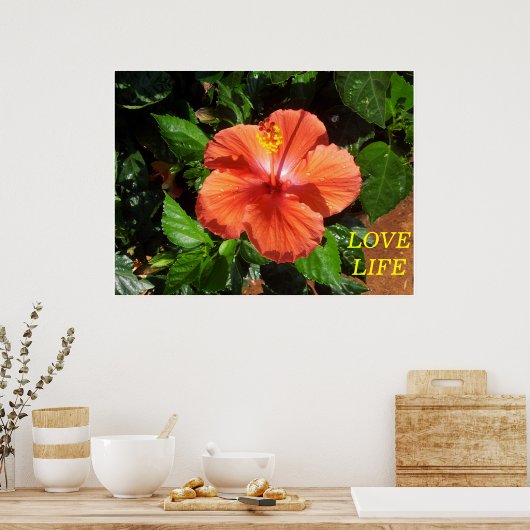 Orange Hibiskus Poster (Küche)
