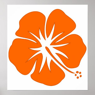 Orange Hibiskus Poster