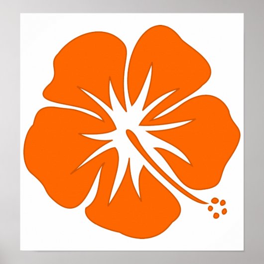Orange Hibiskus Poster (Vorne)