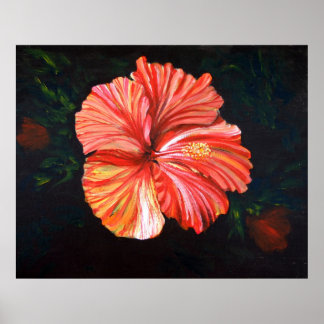 Orange Hibiskus Poster