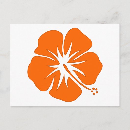Orange Hibiskus Postkarte (Vorderseite)