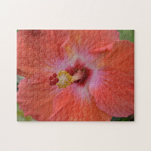Orange Hibiskus Puzzle (Horizontal)