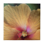 Orange Hibiskus Ruffle Fliese (Vorderseite)