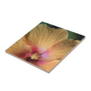 Orange Hibiskus Ruffle Fliese