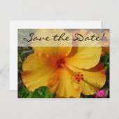 Orange Hibiskus * Save the Date Ankündigungspostkarte (Vorne/Hinten)