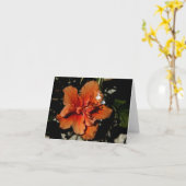 Orange Hibiskus Shadow Fairy Karte (Gelbe Blume)