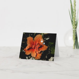 Orange Hibiskus Shadow Fairy Karte