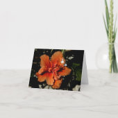 Orange Hibiskus Shadow Fairy Karte (Vorderseite)