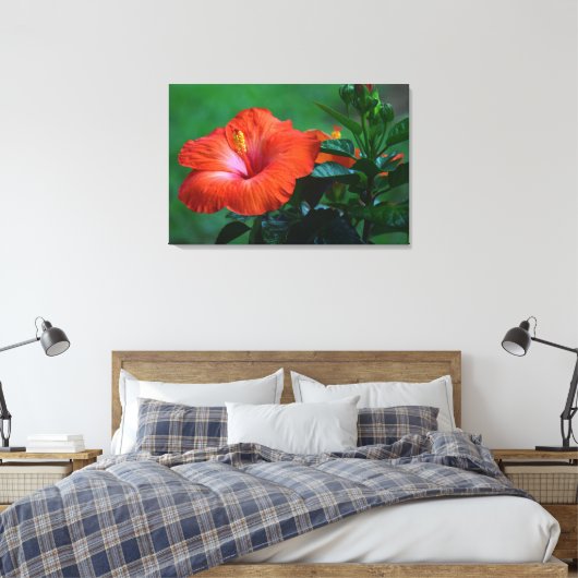 Orange Hibiskus Stretched Canvas Print Leinwanddruck (Insitu (Schlafzimmer))